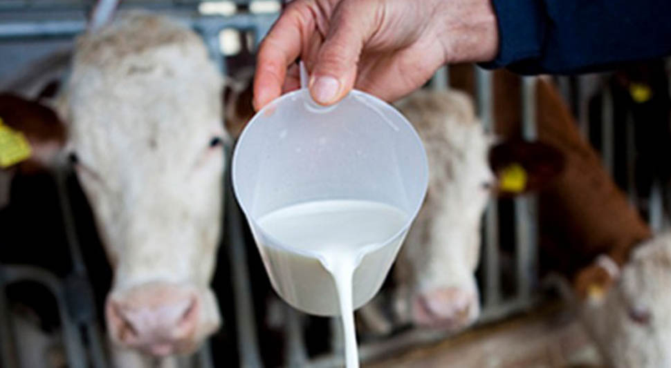 Пољопривредници траже заштиту домаће производње