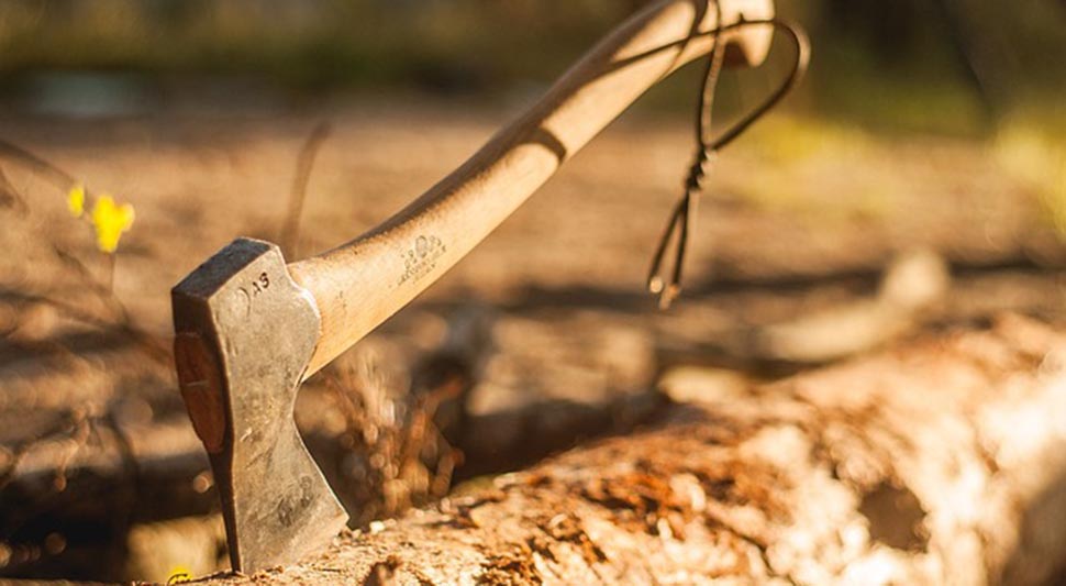 Откривен идентитет докторице која је сјекиром напала мајку, па крвава шетала по селу