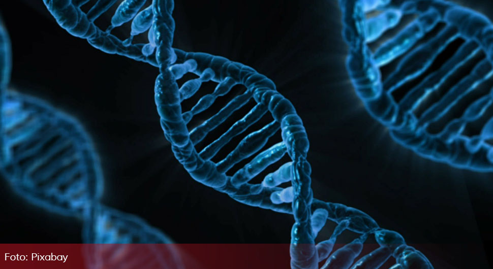 ДНК анализа Торинског покрова открила трагове са више континената - мистерија још дубља