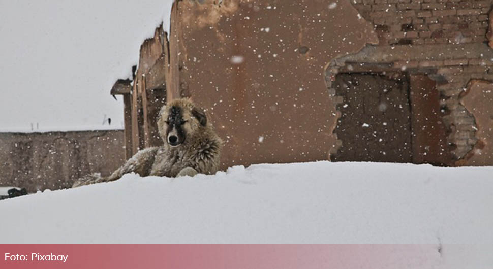 Preminulo 20 osoba usljed veoma niske temperature