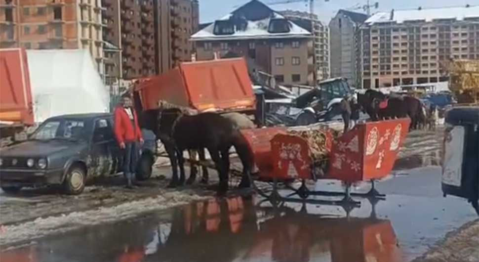 Džokej izubio kontrolu: Konji sa sankama udarili u auta