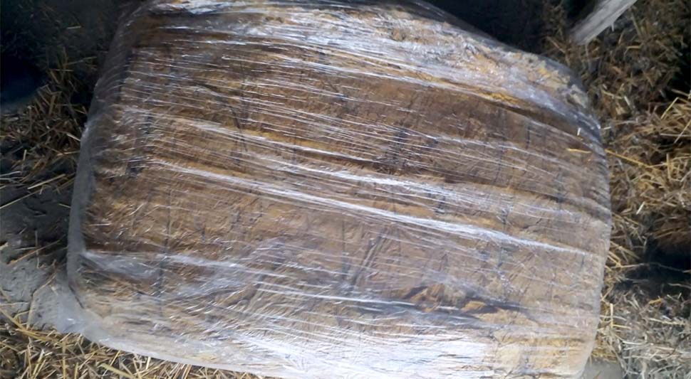 Policija kod starije žene pronašla više od 900 kilograma sušenog duvana