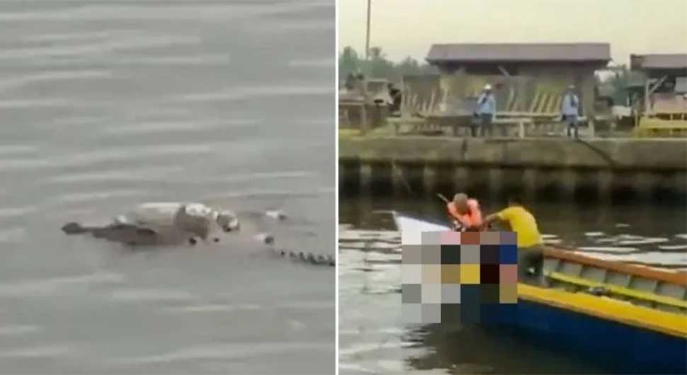 Krokodil vratio tijelo utopljenog djeteta spasilačkom timu