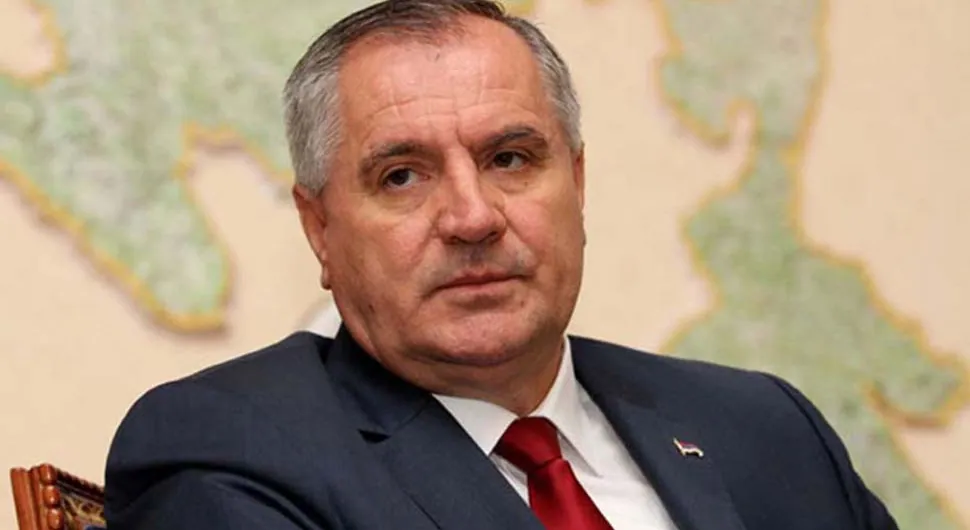 Višković: Želimo čvršću saradnju s našom dijasporom