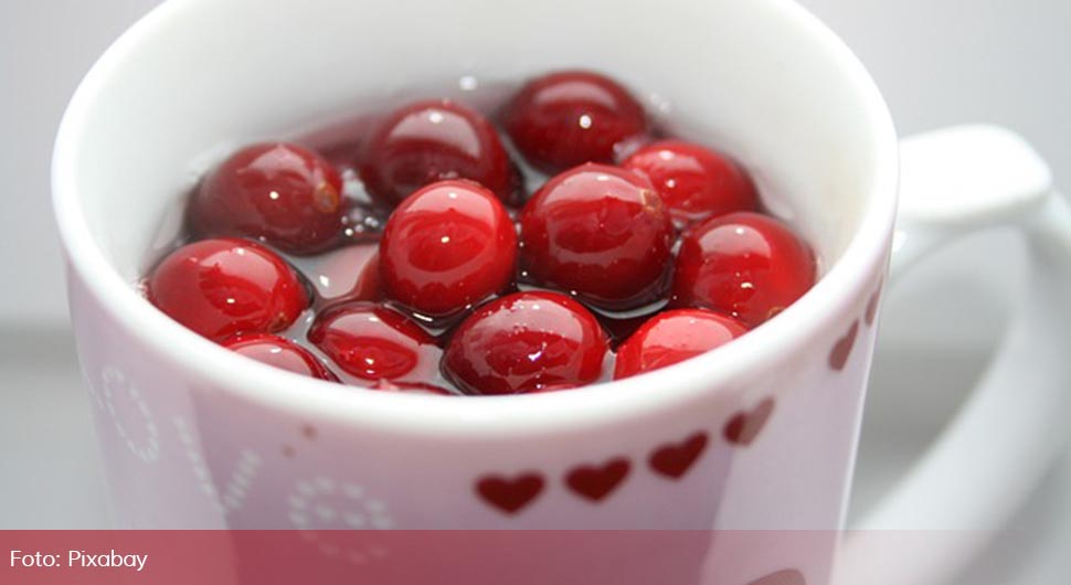Čaj od brusnice - topli napitak koji rješava mnoge tegobe