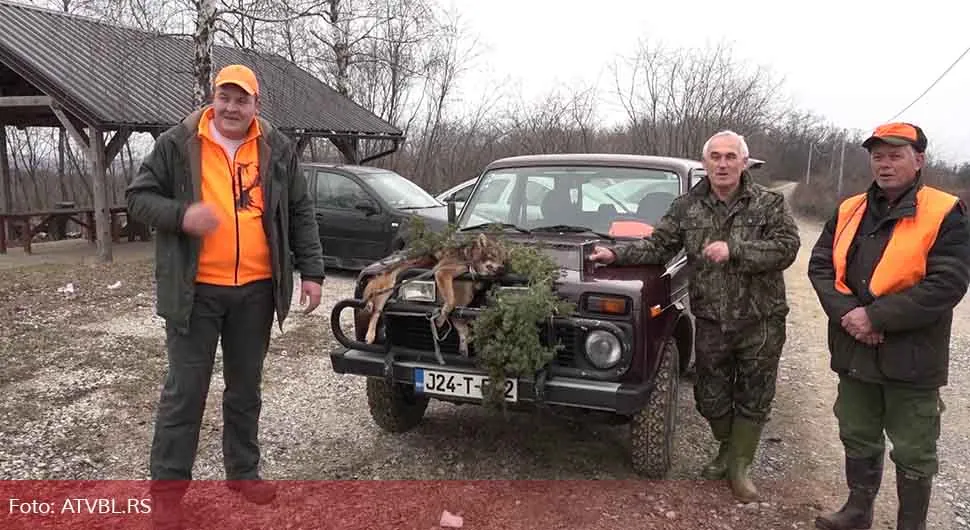 Hajka na šakala