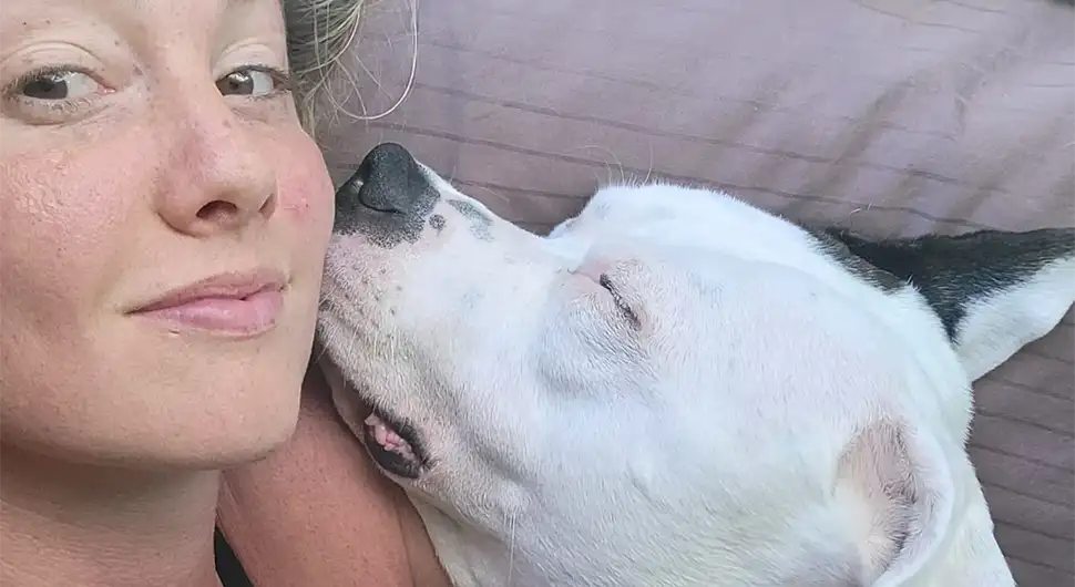 Pitbul vlasnici odgrizao nos: Vjeruju da se uplašio aparata za izbjeljivanje zuba