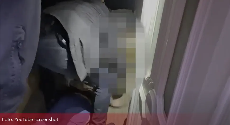 Hapšenja u Srbiji zbog pedofilije