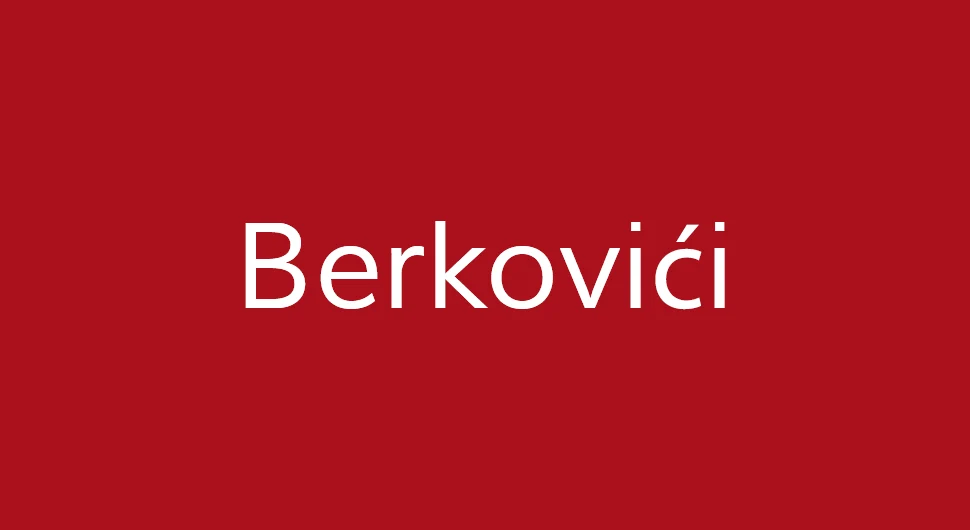 Berkovići