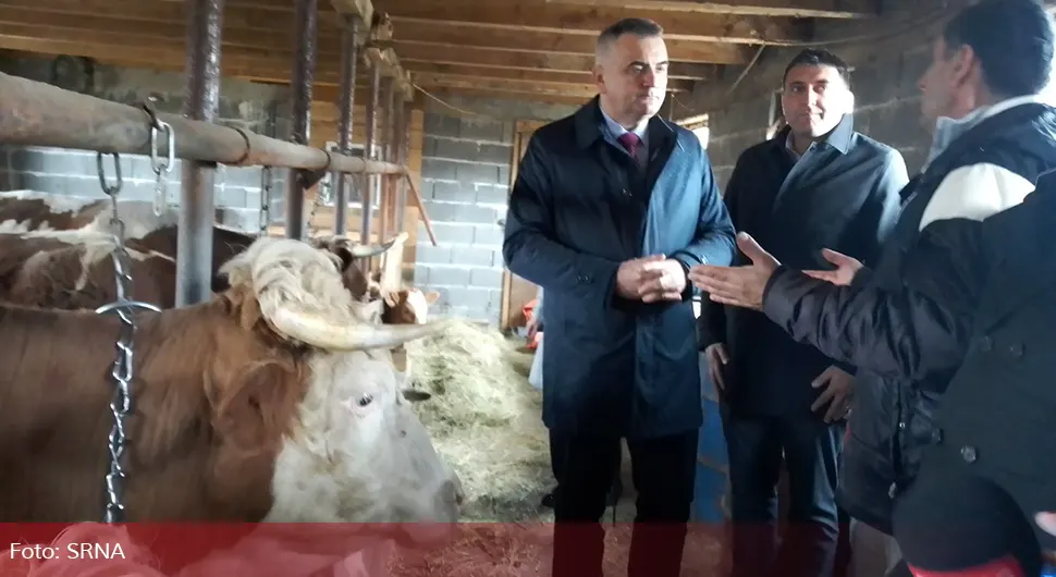 Više od dva miliona KM za nabavku muznih krava u Srpskoj