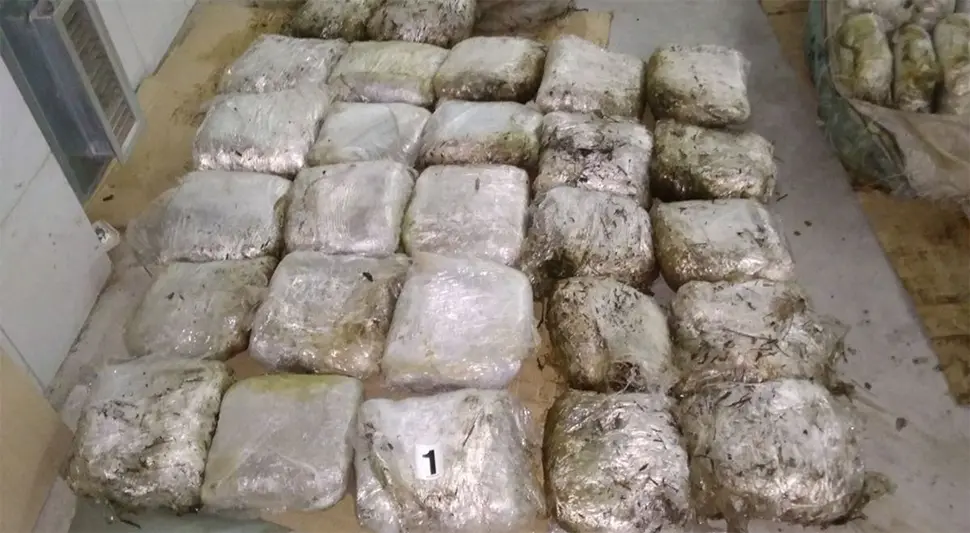U Crnoj Gori pronađeno 87 kilograma skanka