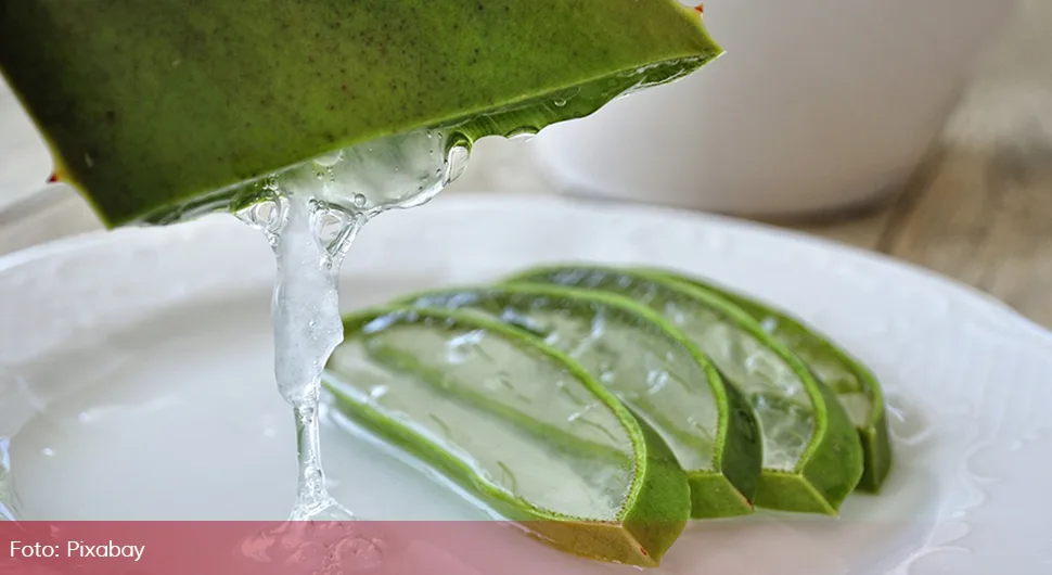 Ова биљка ће вам препородити кожу и косу