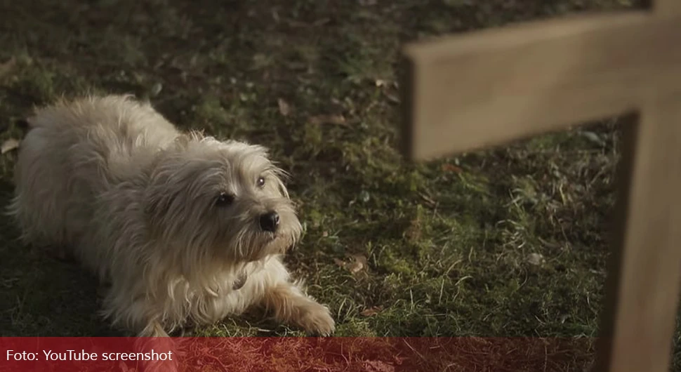 Spot rasplakao je milione ljudi širom svijeta: Uništio mi je život, nemojte gledati