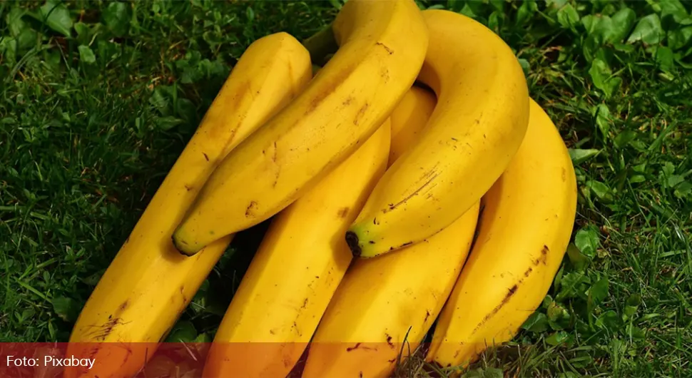 Banana dijeta zaludjela svijet