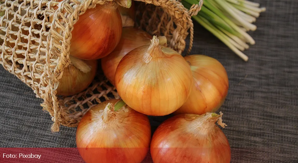 Zbog čega luk nikako ne treba držati u frižideru