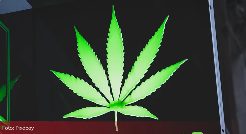 Njemačka planira legalizovati kanabis za ličnu upotrebu