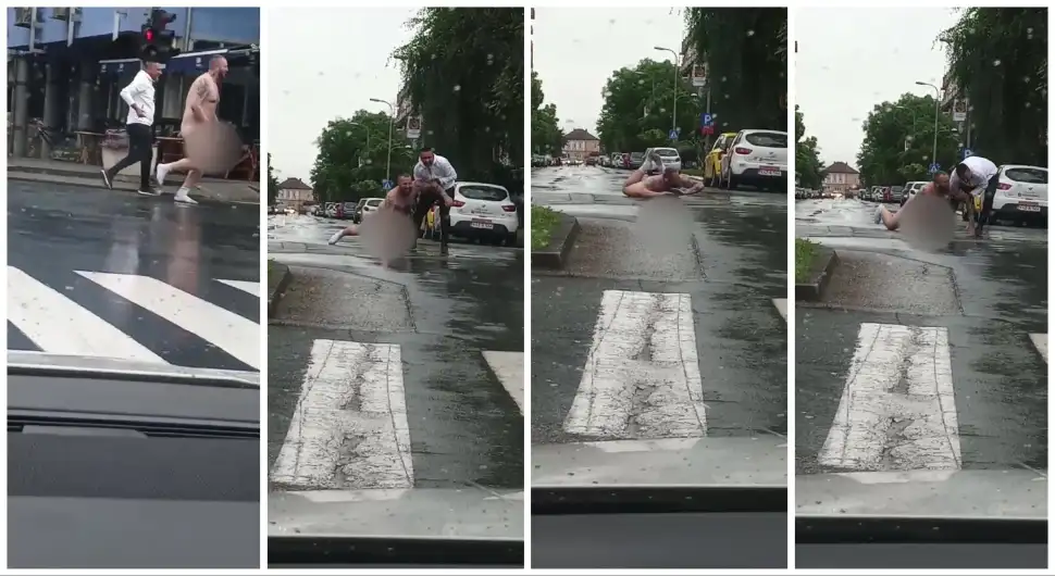 Nag "plivao na cesti" u Gradišci