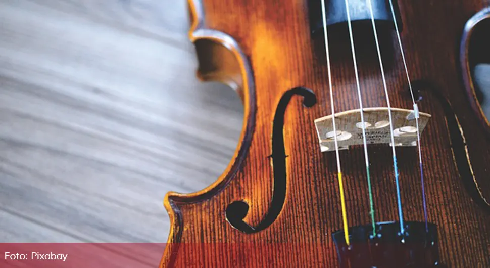 Indijci prave vrhunske violine od drveta iz BiH