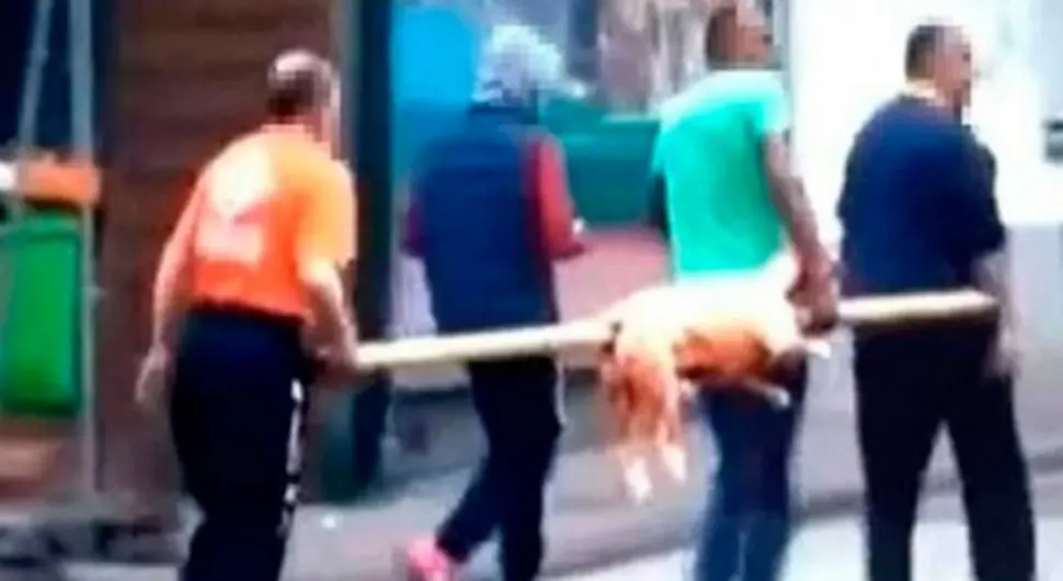 Njemačka policija otkrila ko je kroz grad nosio jagnje na ražnju