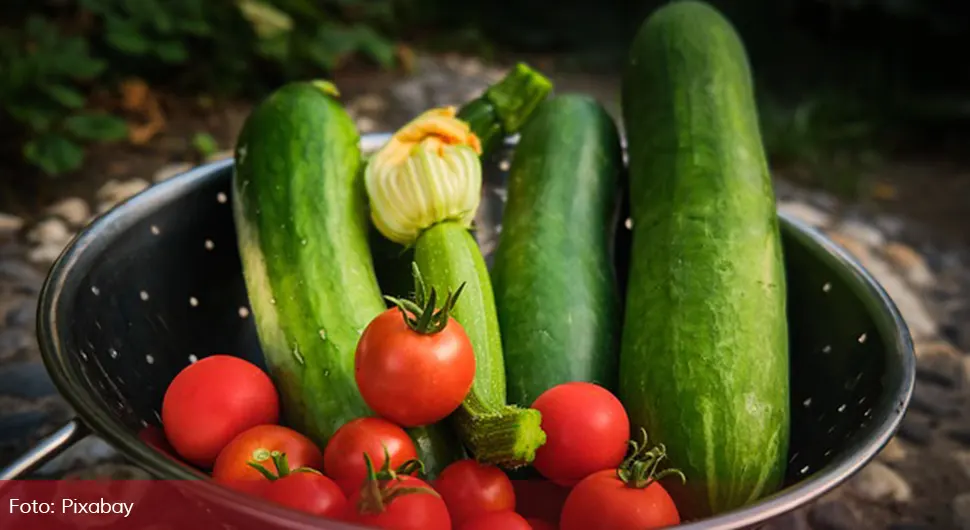 Ове намирнице ће вас расхладити током паклених врућина