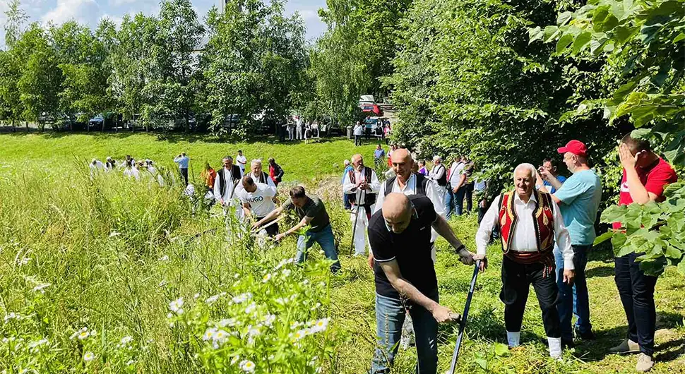 U Knežici oživljeni običaji ručne kosidbe