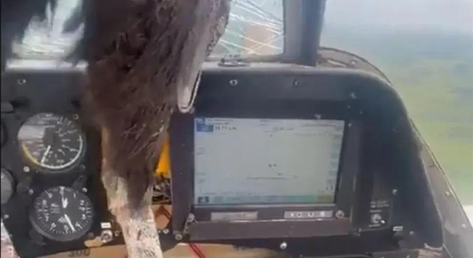 Drama u avionu: Ptica uletjela u kabinu, pogledajte šta je pilot uradio