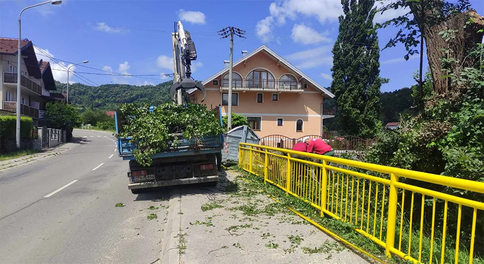 Grom oštetio stablo: Ograđen dio plaže u Srpskim Toplicama