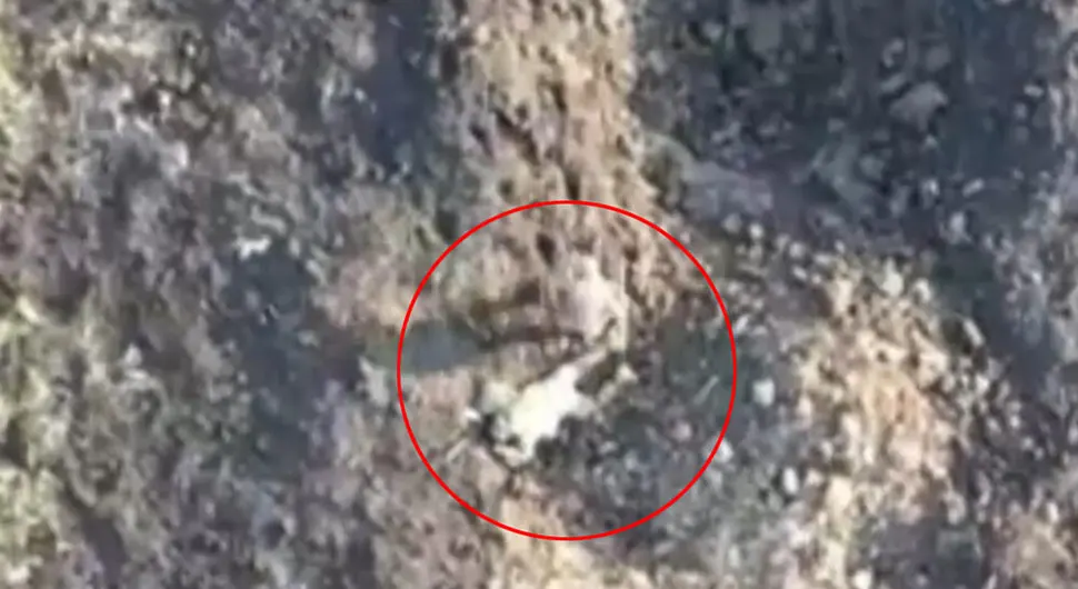 Snimak sa fronta zgrozio svijet: Ranjenog saborca ostavio bez milosti