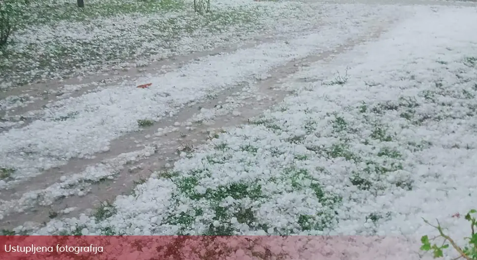 Štetu do sada prijavila 22 poljoprivredna proizvođača