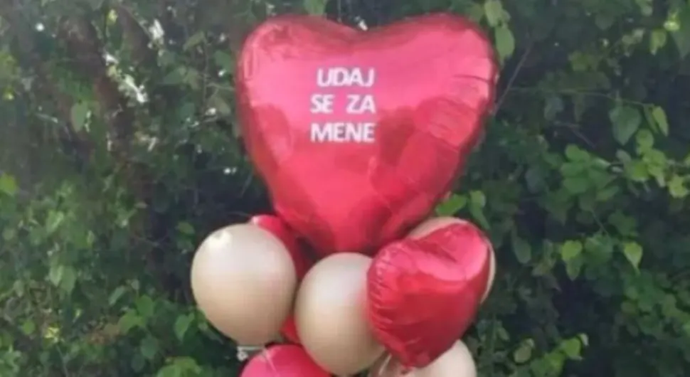 Ponuda za udaju “izvirila” iz kontejnera