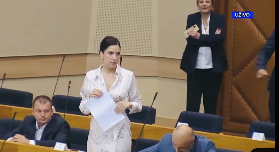 "Namjeru Hrvatske da na granici skladišti nuklearni otpad treba smatrati agresijom na stanovništvo i teritoriju Srpske"