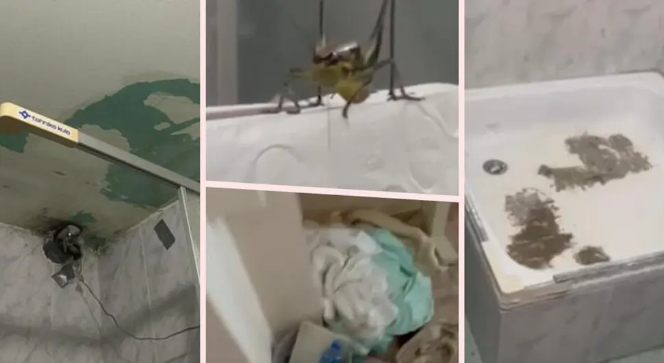 Ljetovanje u Budvi pretvorilo se u košmar
