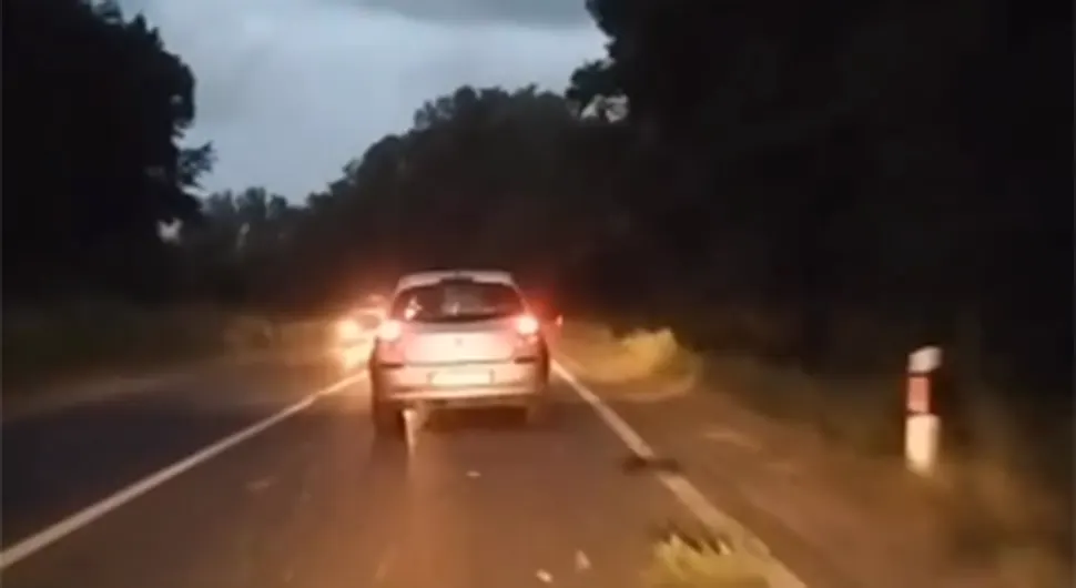 Užasan snimak iz Srbije: Drvo palo na auto usred vožnje