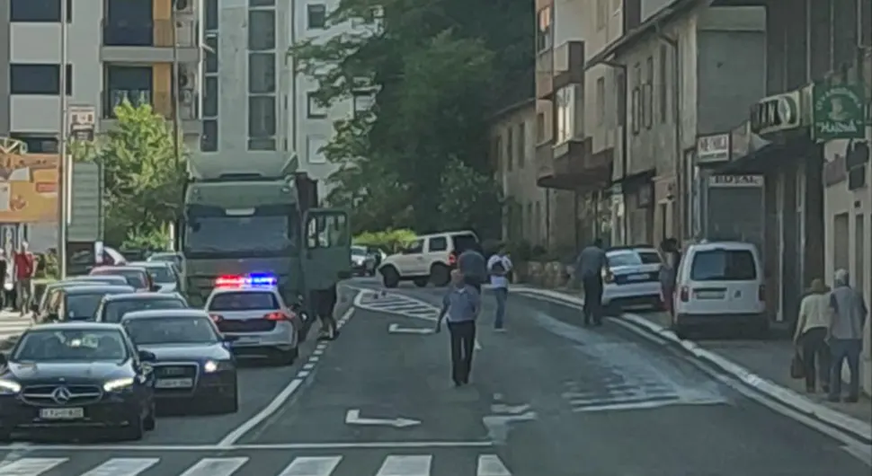 Kamion usmrtio pješaka