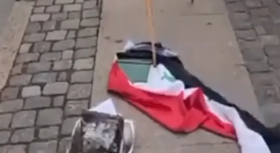 Nasrala: Muslimanska omladina treba da kazni one koji skrnave svetu knjigu