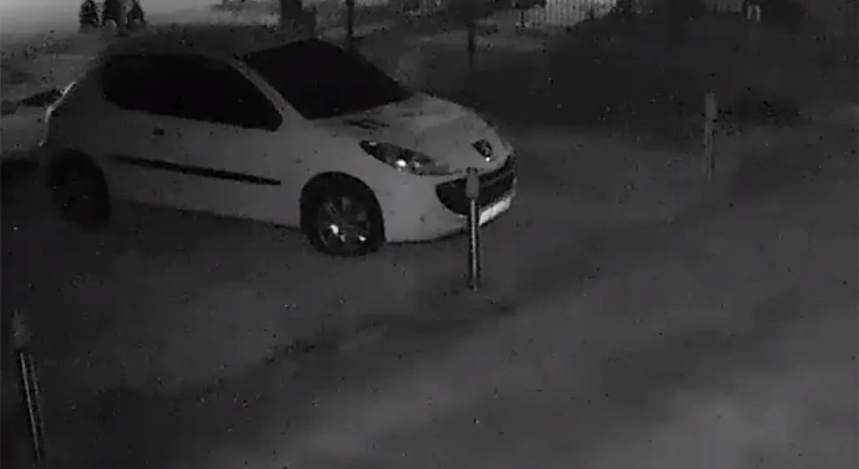 Medvjed snimljen kod kuća u Bihaću, mještani u strahu
