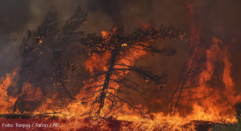 Visoke temperature i vjetar otežavaju gašenje šumskih požara