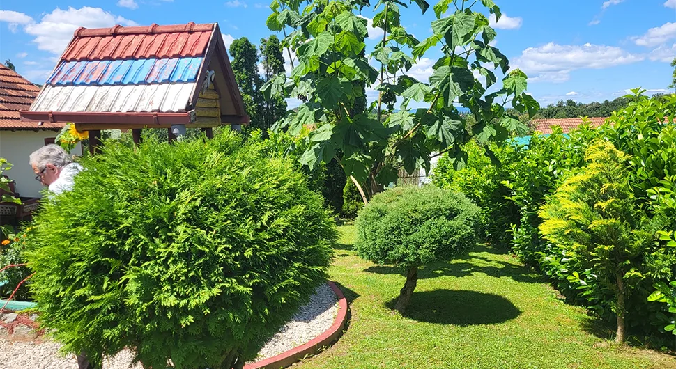 Pogledajte fotografije iz najuređenijih banjalučkih dvorišta