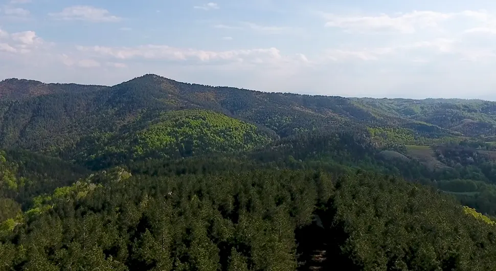 Na Ozrenu pronađene endemske vrste vodozemaca