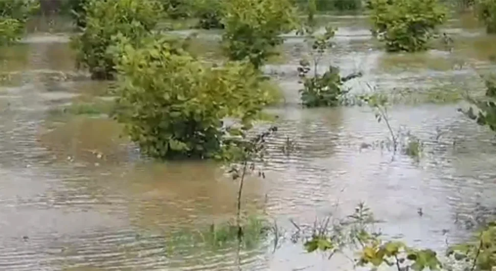 U Hrvatskoj situacija sa poplavama kritična, Drava na rekordnom nivou