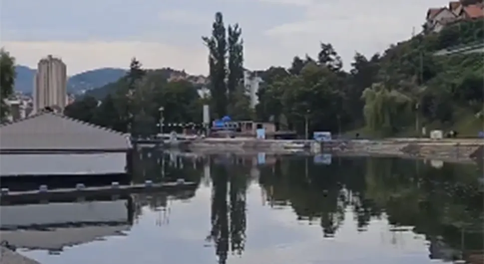 Usred srpskog grada vidjeli da se nešto migolji pa prišli i snimali bez straha