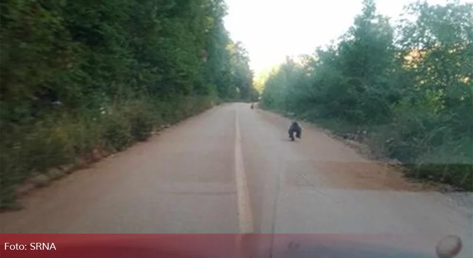 Мечићи на путу у сребреничком планинском селу