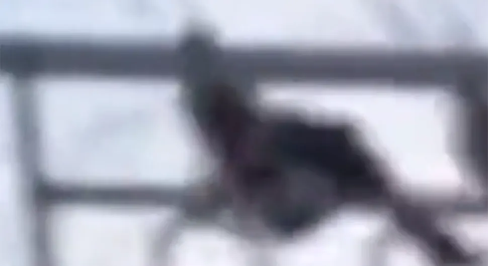 Дјевојка пала са риншпила, сва поломљена - кружи језив снимак