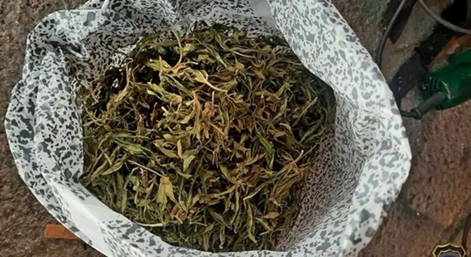 Zaplijenjeni marihuana, amfetamin i municija