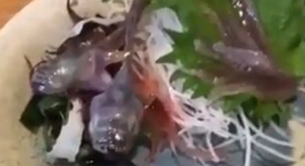 Čovjeku jelo oživjelo na tanjiru