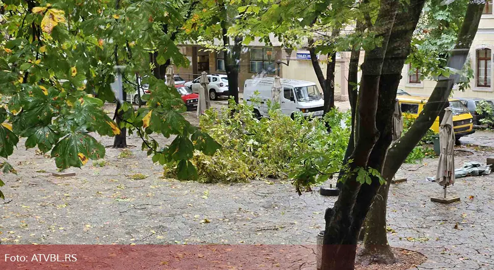 Олујни вјетар у Требињу поломио дрво на градској пијаци