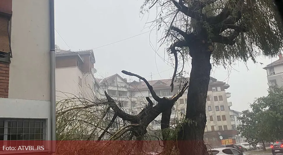 Олујни вјетар сломио дрво у Бањалуци