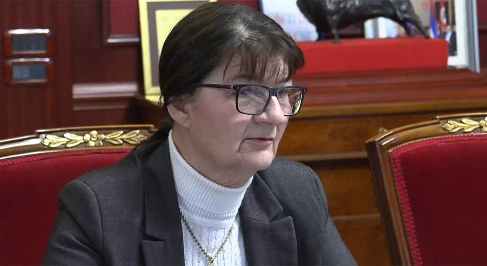 Рајилић: Политичко, а не правно дјеловање Суда БиХ