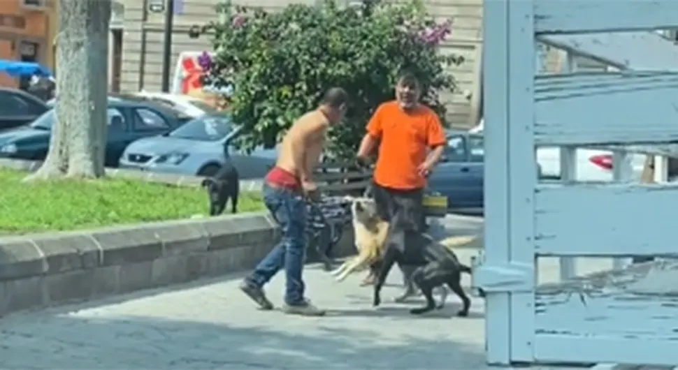 Пси спријечили тучу два мушкарца