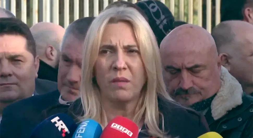 Цвијановић: Апсолутно је јасно да је ово политичка оптужница